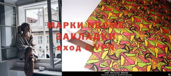 сатива Абинск