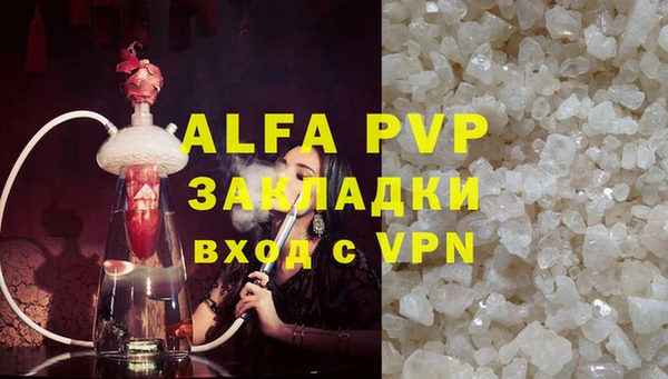 сатива Абинск