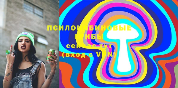 мдпв Осташков