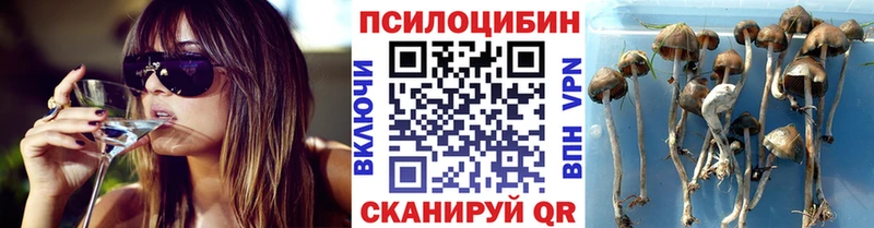 Галлюциногенные грибы мухоморы ОМГ ОМГ сайт Томари